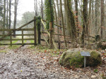 markesteen